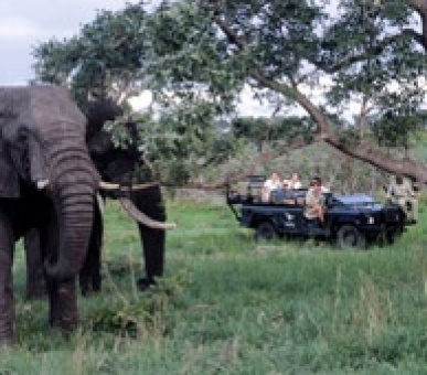 Картинка 17 Фото 17