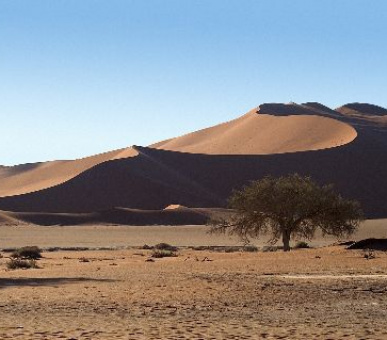 Картинка 10 Фото 10