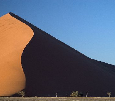 Картинка 4 Фото 4