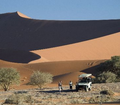 Картинка 9 Фото 9