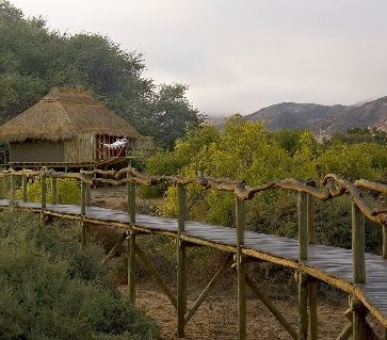 Картинка 9 Фото 9