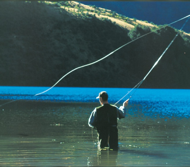 Картинка Blanket Bay, Queenstown (Новая Зеландия, Куинстаун) 16 Фото Blanket Bay, Queenstown (Новая Зеландия, Куинстаун) 16