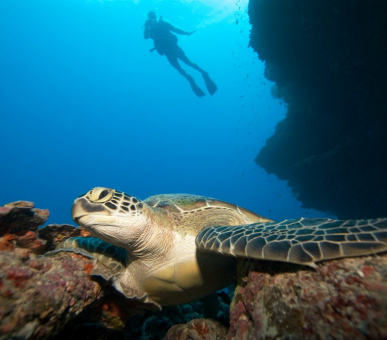 Фото Six Senses Zil Pasyon 51