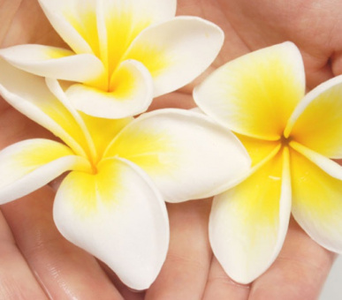 Фото Grace Bay Club (Теркс и Кайкос, Теркс и Кайкос) 33