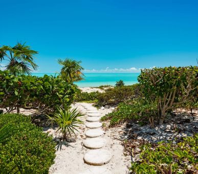 Картинка Shambhala 4 Фото Shambhala 4