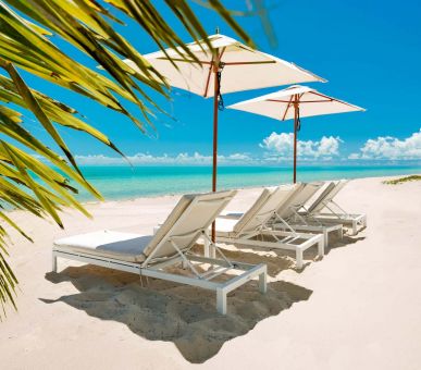 Картинка Shambhala 3 Фото Shambhala 3