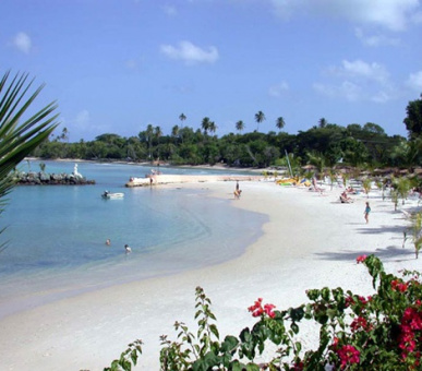 Картинка 11 Фото 11