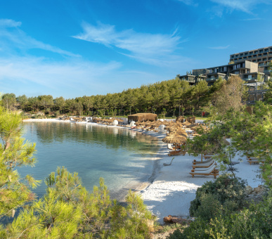 Фото Lujo Hotel 49