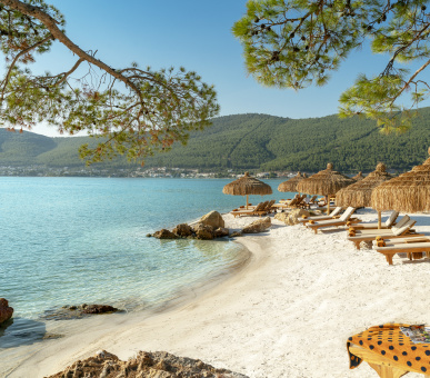 Фото Lujo Hotel 21