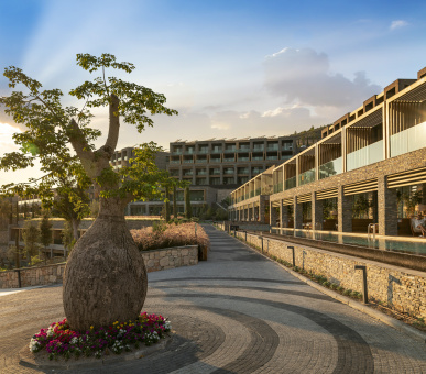 Фото Lujo Hotel 25