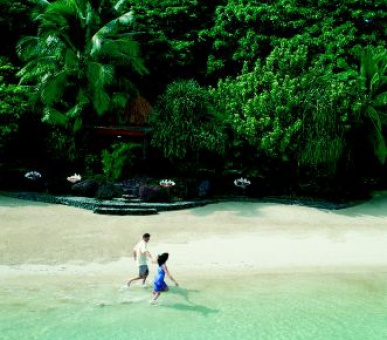 Картинка 16 Фото 16