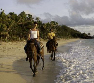 Картинка 14 Фото 14