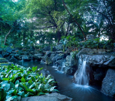 Фото Makati Shangri-La (Филиппины, Манила) 30