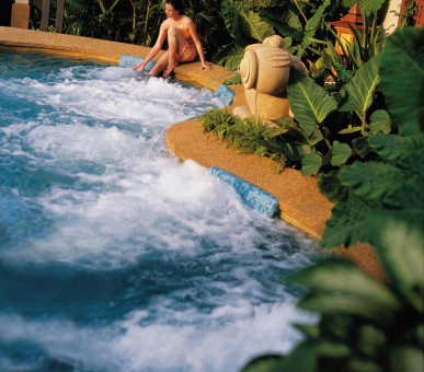 Картинка Shangri-La`s Mactan Island Resort (Филиппины, Остров Себу) 11 Фото Shangri-La`s Mactan Island Resort (Филиппины, Остров Себу) 11