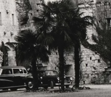 Фото Chateau Saint-Martin  8