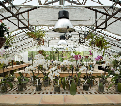 Картинка Hotel Le Mas De Pierre 15 Фото Hotel Le Mas De Pierre 15