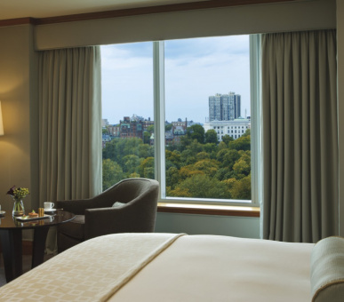 Фото The Ritz-Carlton, Boston Common (США, Бостон (штат Массачусетс)) 11