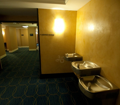 Фото Ritz-Carlton South Beach (США, Майaми  (штат Флорида)) 20