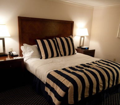 Фото Ritz-Carlton South Beach (США, Майaми  (штат Флорида)) 18