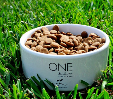 Фото One Bal Harbour Resort  24