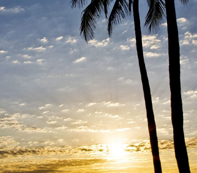 Фото One Bal Harbour Resort  25