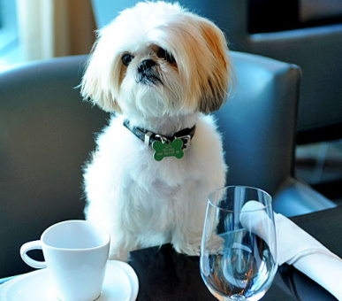 Фото One Bal Harbour Resort  35