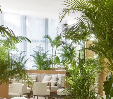 Картинка The Miami Beach EDITION (США, Майaми (штат Флорида)) 28 Фото The Miami Beach EDITION (США, Майaми (штат Флорида)) 28