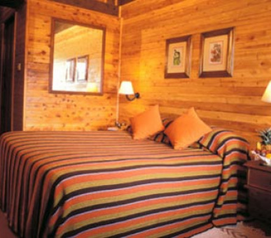 Картинка 6 Фото 6