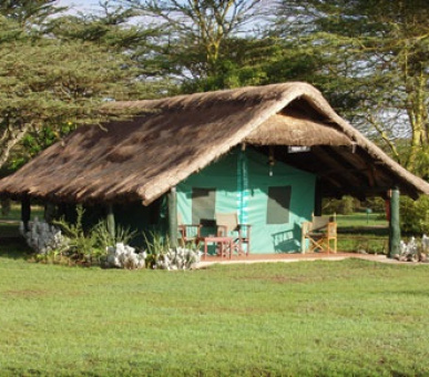 Картинка 5 Фото 5