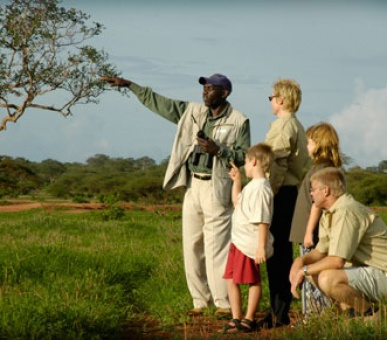 Картинка 2 Фото 2