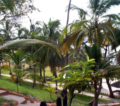 Картинка 9 Фото 9