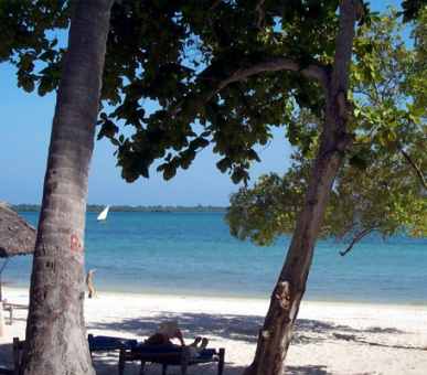 Картинка 11 Фото 11