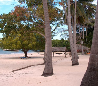 Картинка 12 Фото 12