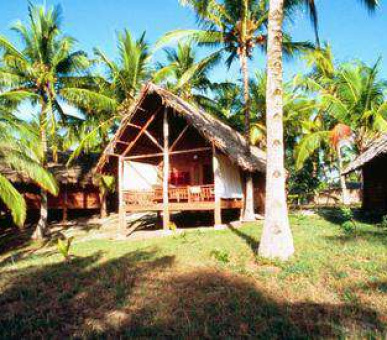 Картинка 12 Фото 12