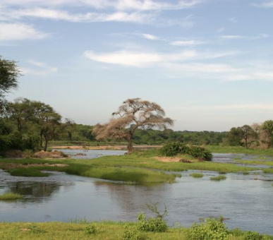 Картинка 1 Фото 1