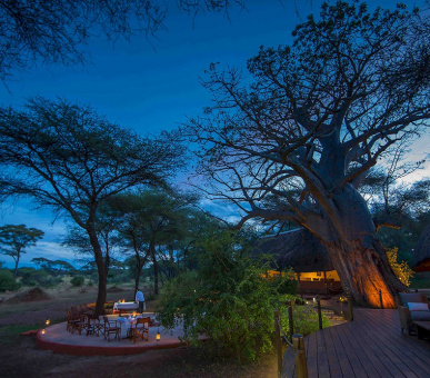 Картинка Swala Camp (Танзания, Национальный парк Тарангирe) 11 Фото Swala Camp (Танзания, Национальный парк Тарангирe) 11