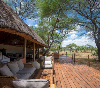 Картинка Swala Camp (Танзания, Национальный парк Тарангирe) 16 Фото Swala Camp (Танзания, Национальный парк Тарангирe) 16