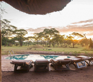 Картинка Swala Camp (Танзания, Национальный парк Тарангирe) 7 Фото Swala Camp (Танзания, Национальный парк Тарангирe) 7