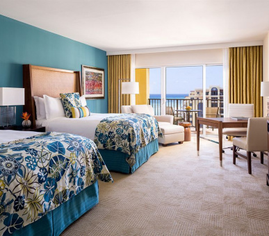 Картинка Ritz-Carlton Palm Beach 3 Фото Ritz-Carlton Palm Beach 3