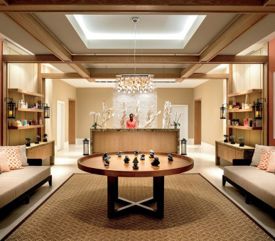 Картинка Ritz-Carlton Palm Beach 14 Фото Ritz-Carlton Palm Beach 14