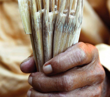 Фото Four Seasons Tented Camp Golden Triangle (Таиланд, Чиангмай, Чианграй) 12