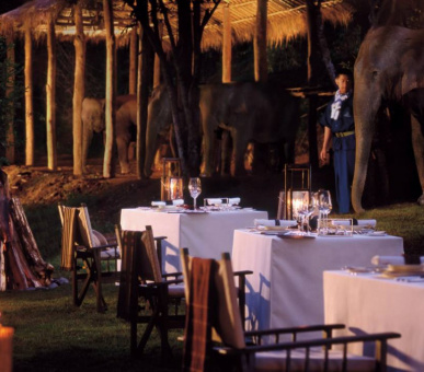 Фото Four Seasons Tented Camp Golden Triangle (Таиланд, Чиангмай, Чианграй) 13