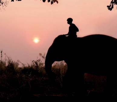 Фото Four Seasons Tented Camp Golden Triangle (Таиланд, Чиангмай, Чианграй) 6