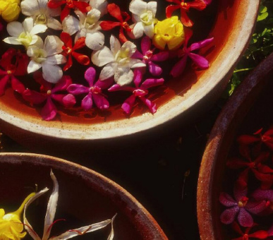 Фото Four Seasons Resort Chiang Mai (Таиланд, Чиангмай, Чианграй) 3