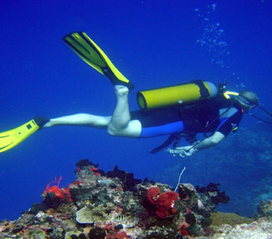 Картинка Sheraton Krabi Beach Resort (Таиланд, Краби) 16 Фото Sheraton Krabi Beach Resort (Таиланд, Краби) 16