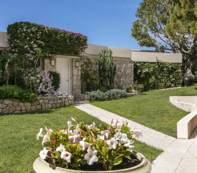 Фото Cap Estel 38