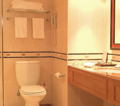 Картинка Taj Pamodzi (Замбия, Лусака) 4 Фото Taj Pamodzi (Замбия, Лусака) 4