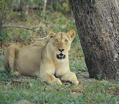 Картинка 1 Фото 1