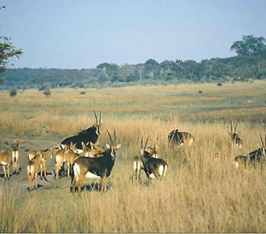 Картинка 2 Фото 2