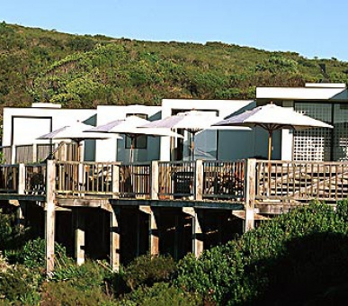 Картинка 1 Фото 1